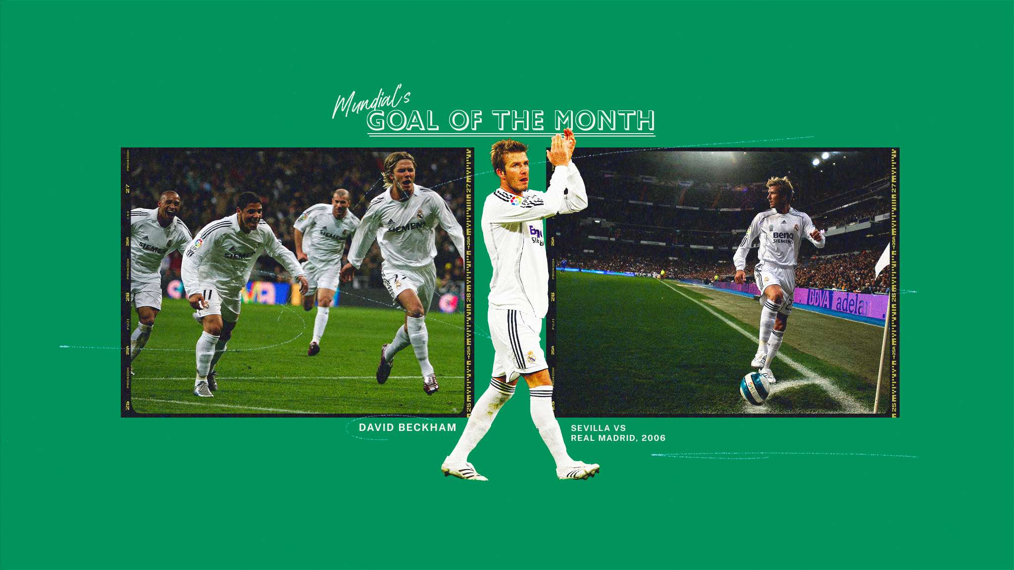 己的极限 己的极限